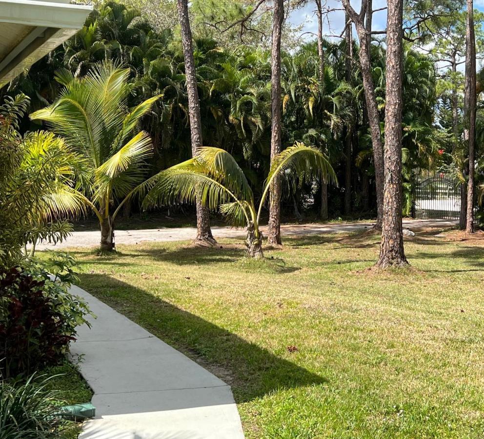 Private Tropical Paradise Guesthouse! Loxahatchee Eksteriør billede